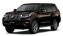Land Cruiser Prado VX
